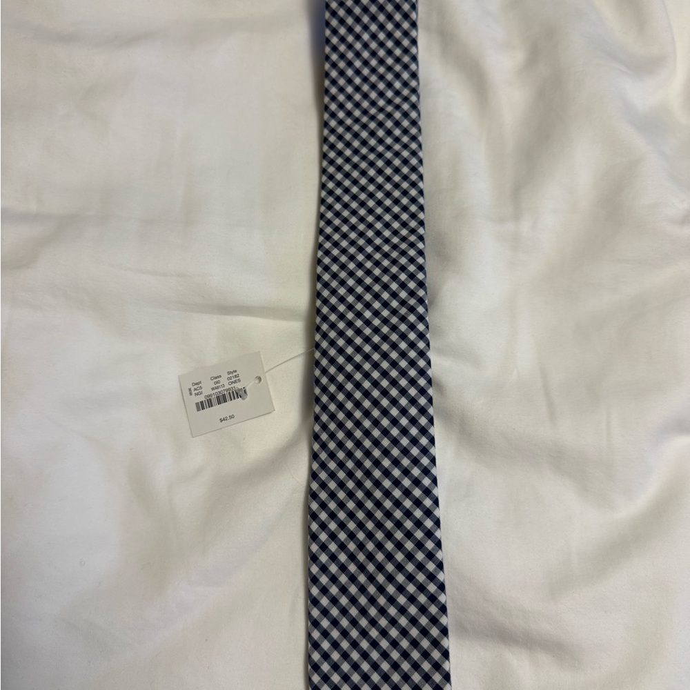 J. Crew Classic Blue Checkered Men's Tie
